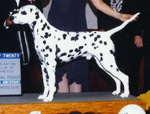 Image of Caddy