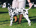 Image of Cally
