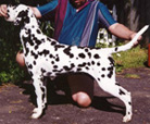Image of Detmar