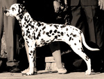 Image of Maddy