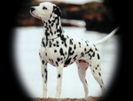 Image of Xactly