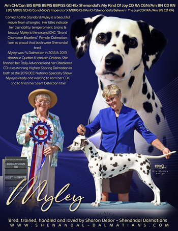 Shenandal Dalmatians Myley
