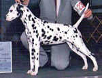 Image of Lady