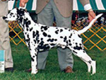 Image of Mister