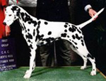 Image of Natalia