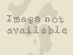 No Image Available